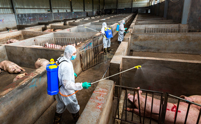 1639561512990267.jpg 664988240739.jpg